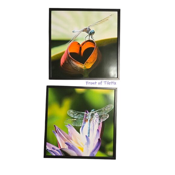 Dragonfly Lovers Gift Bag - Picture 4 of 15